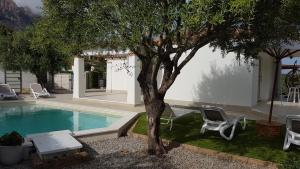 Bazén v ubytování VILLA ILARIA con piscina privata a 350 mt spiaggia di sabbia nebo v jeho okolí