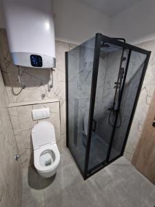 Kúpeľňa v ubytovaní Apartment Lisarica + 34 fotografií