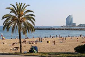 a crowd of people on a beach with a palm tree at Baluard-Apartment only 100 meters from the beach in Barcelona