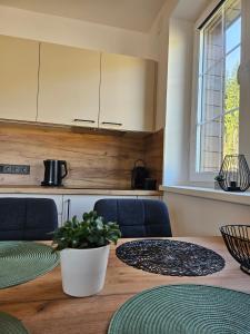 Kuchyň nebo kuchyňský kout v ubytování Horský apartmán MIKI