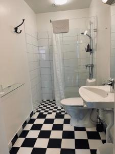 La salle de bains est pourvue de toilettes et d'un lavabo. dans l'établissement Stationen, à Ystad