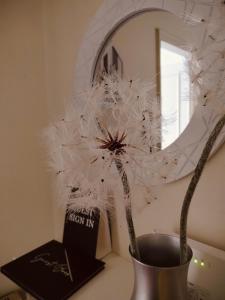 a vase with a plant in front of a mirror at Dandelion home Viareggio centro in Viareggio