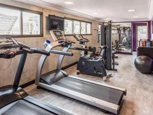ein Fitnessstudio mit mehreren Laufbändern und Ergometern in der Unterkunft M256 | Flat localizado no Jardins in São Paulo