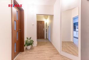 korytarz z drzwiami i doniczką w obiekcie Vitosska w Pradze