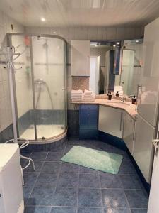 于南格100m2 3chambres 5km du Carnaval de BASEL Free Wifi的带淋浴和水槽的浴室 更多8张照片