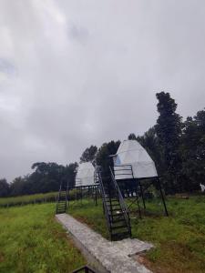 two gazebos in a field with trees in the background at Croft Yelagiri - glamping stay in Yelagiri