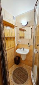 mała łazienka z umywalką i prysznicem w obiekcie Penzion u Marešů w mieście Hřensko