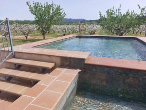 Bazén v ubytování Masia Rural L'Hort de Maso nebo v jeho okolí