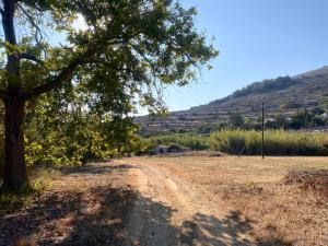 a dirt road with a tree and a hill at Elitas Lodge: Cosy Cycladic home outside Paroikia in Kampos Paros