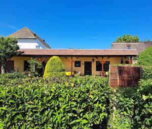 a house with a hedge in front of it at Boddenbrise in Born