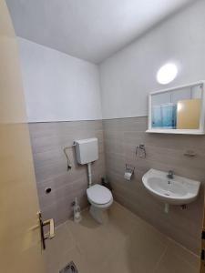 普盧日內的住宿－Apartment DUNJA，一间带卫生间和水槽的浴室