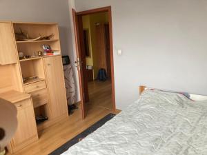 a bedroom with a bed and a closet and a mirror at Apartament nad rzeką na Mazurach in Olecko