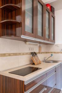 a kitchen with a sink and wooden cabinets at ROOF TERRACE access CASTLE dst. PARLIAMENT 1stop in Budapest