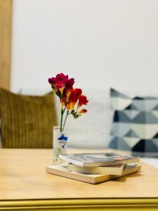 Φωτογραφία από το άλμπουμ του MEANDROS Center 3 στην Καλλιθέα Χαλκιδικής