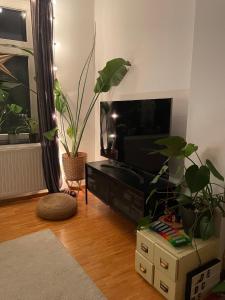 uma sala de estar com uma televisão de ecrã plano e plantas em Dachterrasse im grünen Schleußig em Leipzig