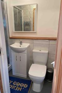 a bathroom with a toilet and a sink and a mirror at Stylish Saundersfoot 2-Bed Seaview Apartment, Balcony & Parking in Pembrokeshire