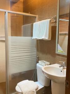 ein Bad mit einem WC, einem Waschbecken und einer Dusche in der Unterkunft La Piazza Hotel and Convention Center Inc. in Legazpi