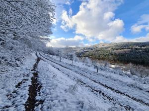 una carretera cubierta de nieve en un campo con árboles en Gite au petit Donon, en Rothau