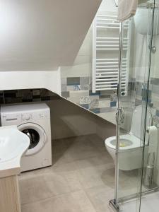 een badkamer met een toilet en een wasmachine bij Affittacamere “In Piazzetta” in Ateleta