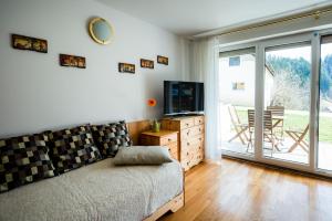 Televisyen dan/atau pusat hiburan di Apartma Pokljuška idila - Idyllic Pokljuka Studio above Bled