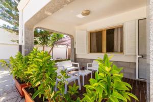 Zahrada ubytování Casa vacanze Tafuro
