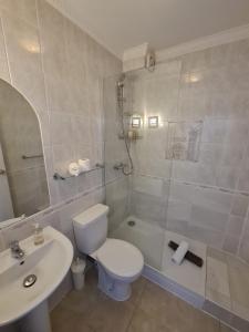 a bathroom with a toilet and a sink and a shower at Marina Metro Hotel in Saint Helier Jersey