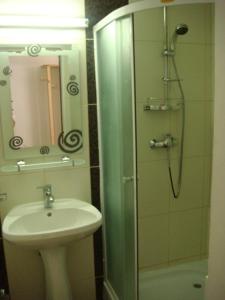 A bathroom at Pension Cabana Cetatile Ponorului