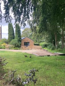 Κήπος έξω από το Cosy retreat in the heart of the Cotswolds.