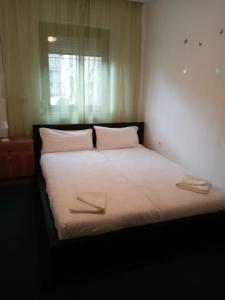 a bed with two white pillows and a window at La Vane in Sonneberg