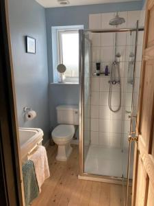 a bathroom with a shower and a toilet and a sink at Cosy retreat in the heart of the Cotswolds. in Chipping Norton