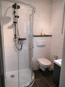 a bathroom with a shower and a toilet at Kleine Ferienoase am Plauer See in Funfseen