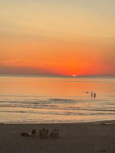 a group of people on the beach at sunset at Guesthouse West in Noordwijk