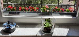 Ảnh trong thư viện ảnh của Premium Studio in zentraler Lage Mannheims ở Mannheim