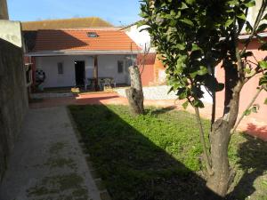 a yard with two trees in front of a house at Casa do Mar in Figueira da Foz