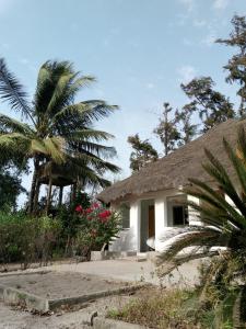 a house with a palm tree in front of it at Poco Loco B&B in Abene