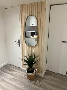 a room with a mirror and a potted plant at Le zénith vieille ville d'Annecy in Annecy