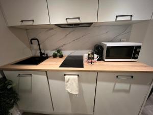 a kitchen counter with a microwave and a sink at Le zénith vieille ville d'Annecy in Annecy