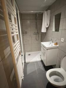 a bathroom with a shower and a toilet and a sink at Le zénith vieille ville d'Annecy in Annecy