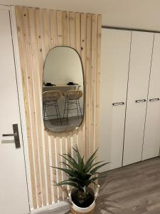 a room with a table and a mirror and a plant at Le zénith vieille ville d'Annecy in Annecy