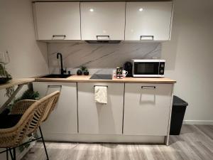 a kitchen with white cabinets and a microwave on a counter at Le zénith vieille ville d'Annecy in Annecy