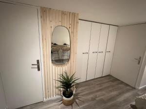 a room with a mirror and a potted plant at Le zénith vieille ville d'Annecy in Annecy