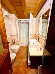 a bathroom with a toilet and a sink and a shower at Agriturismo Cervano in Toscolano Maderno