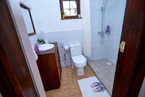 a bathroom with a toilet and a sink and a shower at Peaceful and Cozy Home in Arusha in Ngateu