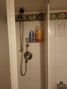 a shower with a shower head in a bathroom at Etnalcantara16 in Castiglione di Sicilia
