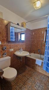 a bathroom with a toilet and a sink and a tub at ciao-aschau FeWo Fey in Aschau