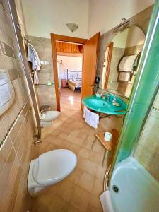a bathroom with a sink and a toilet and a mirror at Agriturismo Cervano in Toscolano Maderno