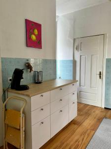 un gato negro sentado en un mostrador en una cocina en Ferienhaus in Wilster / Monteure, 