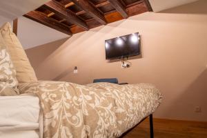salon z kanapą i telewizorem na ścianie w obiekcie Atriums Apartment Quovis Domus w Turynie