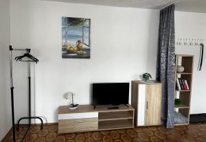 a living room with a television on a wooden entertainment center at Ubytování U Ropáků in Horní Slavkov