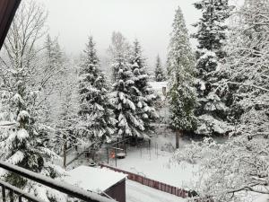 Pokoje Gościnne "Tęcza" v zime